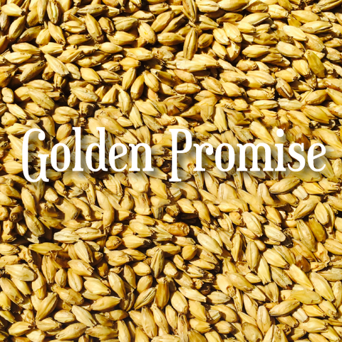 Golden Promise