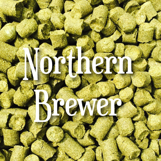 Northern Brewer (1oz)