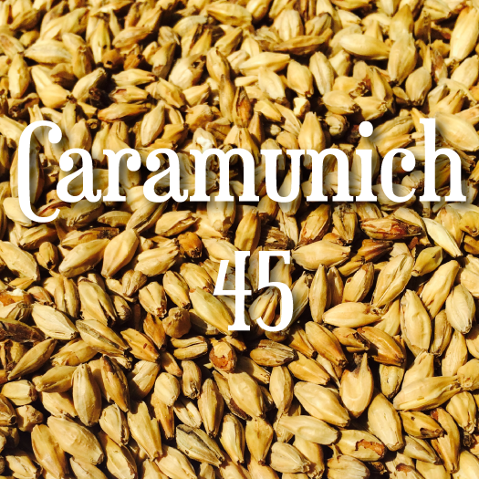 Caramunich 45L