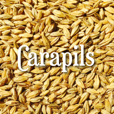 Carapils