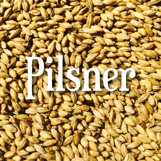 Riverbend Pilsner Malt