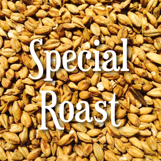 Briess Special Roast