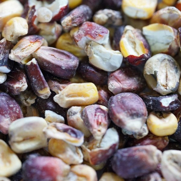 Riverbend Bloody Butcher Corn Malt