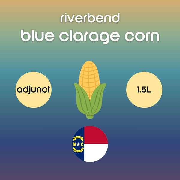 Advertisement for riverbend blue clarage corn with corn illustration and text on a gradient background