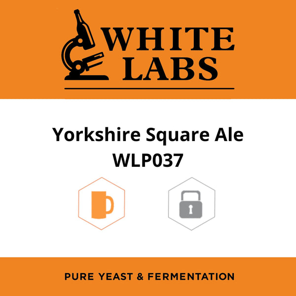 White Labs WLP037 - Yorkshire Square Ale Yeast