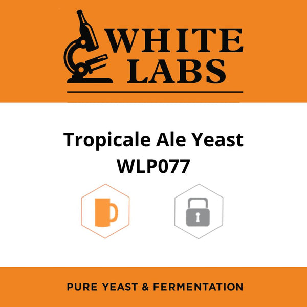 White Labs WLP077 Tropicale Ale Yeast Blend