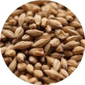 Weyermann Floor Malted Bohemian Pilsner Malt - BrewSRQ - Florida Homebrew Supply Store