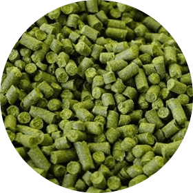 Nelson Sauvin - BrewSRQ