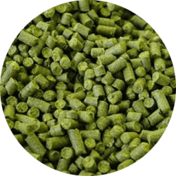 Perle - BrewSRQ