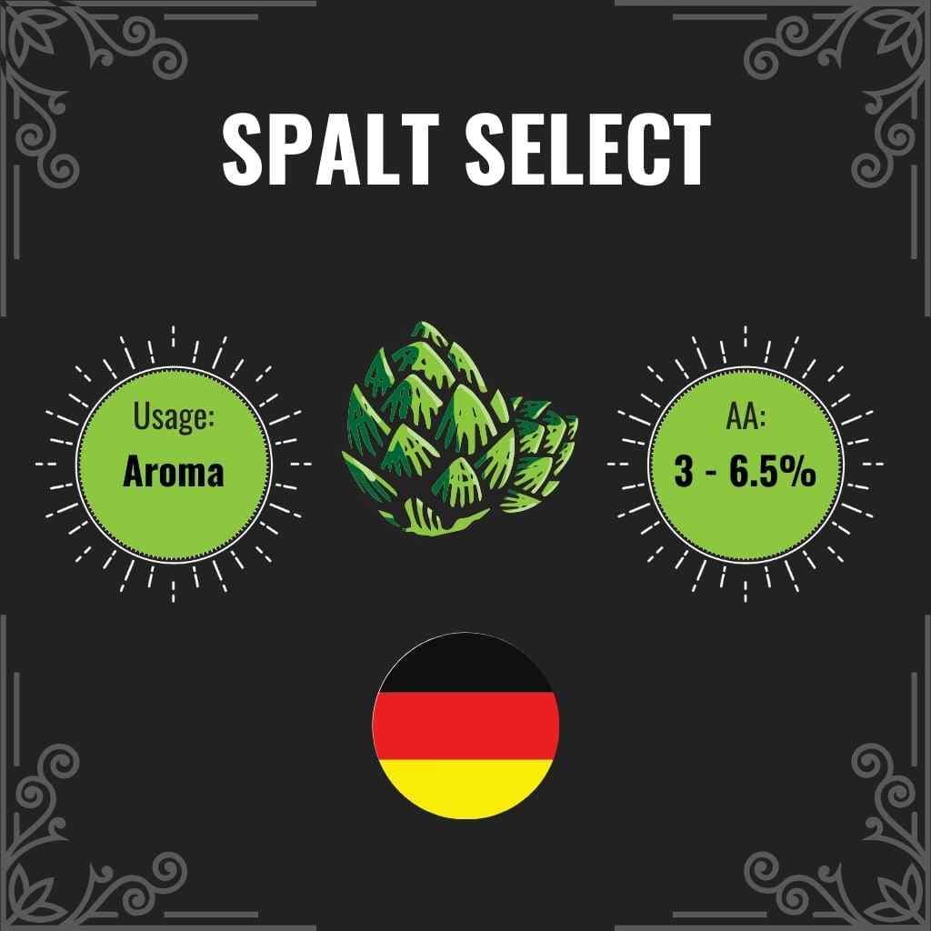 Spalter Select