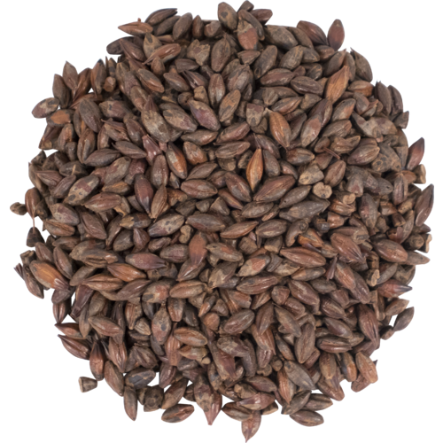 Briess Roasted Barley
