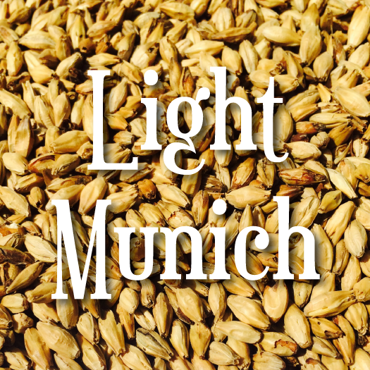 Light Munich 8L