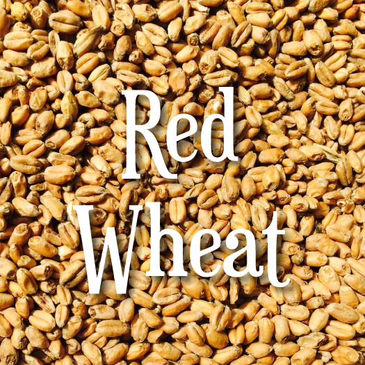 Riverbend Appalachian Wheat