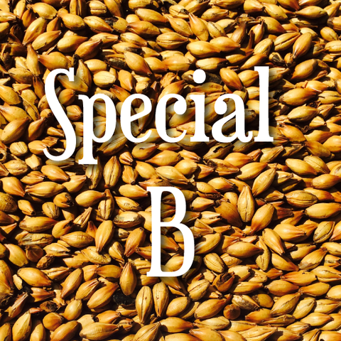 Special B